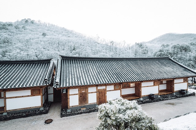 住宅の屋根