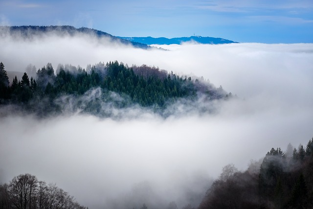 湿った空気